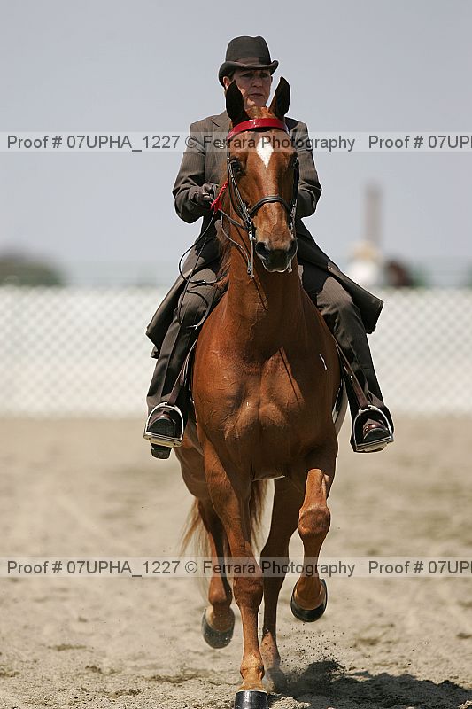 Proof 07upha_1227