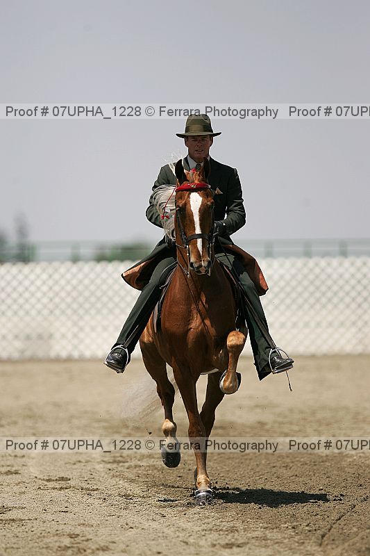 Proof 07upha_1228