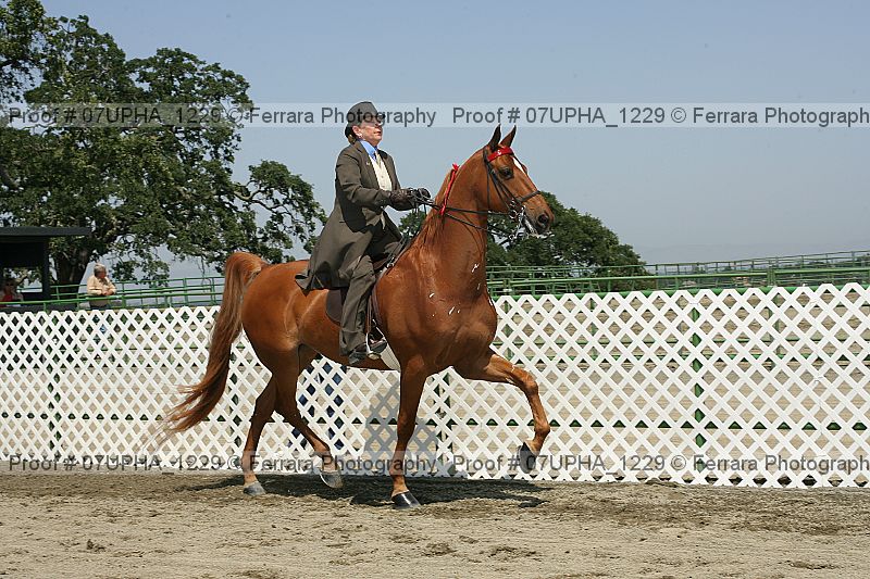Proof 07upha_1229