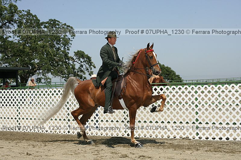 Proof 07upha_1230