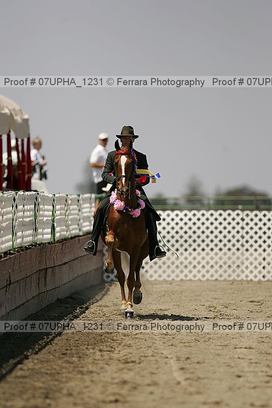 Proof 07upha_1231