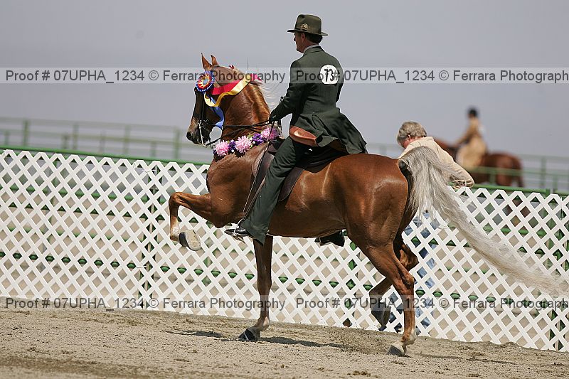 Proof 07upha_1234