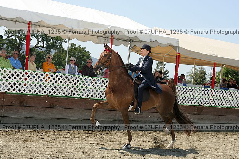 Proof 07upha_1235