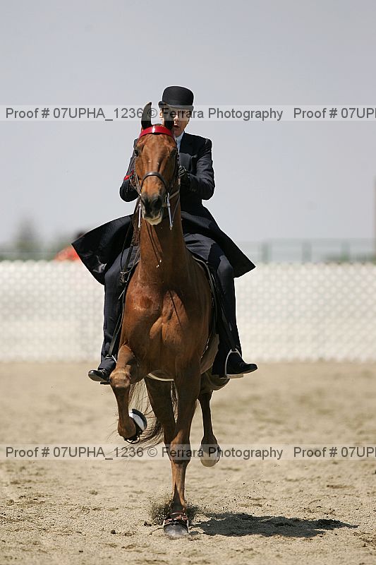 Proof 07upha_1236