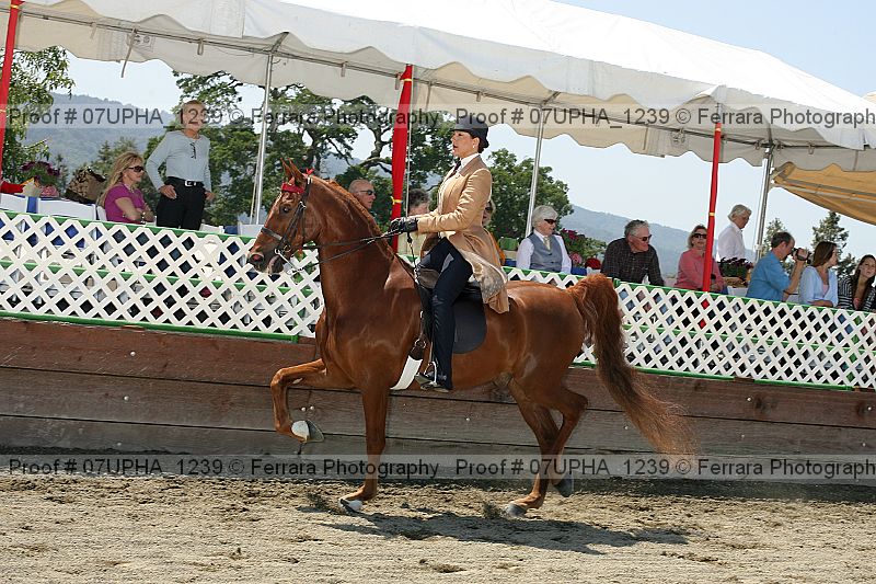 Proof 07upha_1239