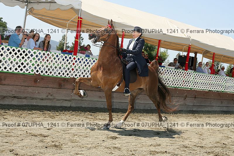 Proof 07upha_1241