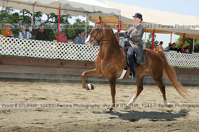 Proof 07upha_1243