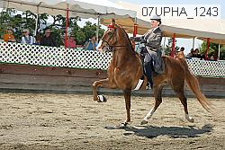 07upha_1243 proof