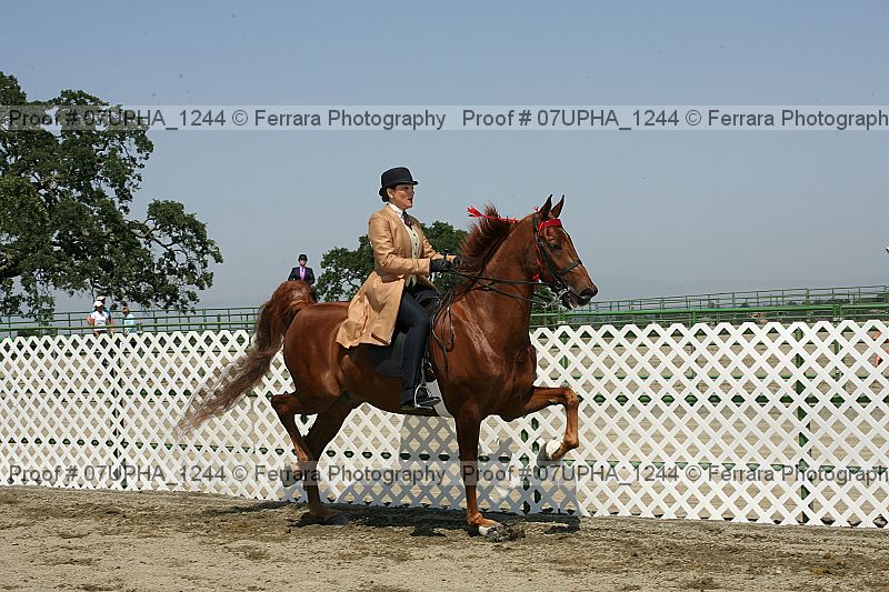 Proof 07upha_1244