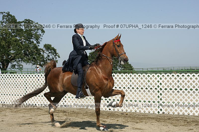 Proof 07upha_1246