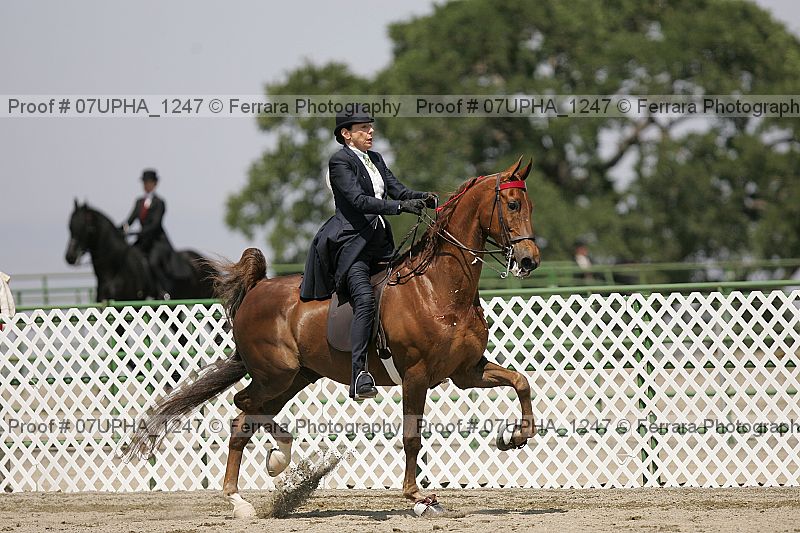 Proof 07upha_1247