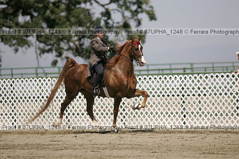 Proof 07upha_1248