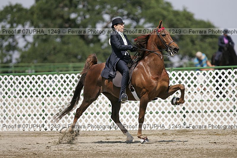 Proof 07upha_1249