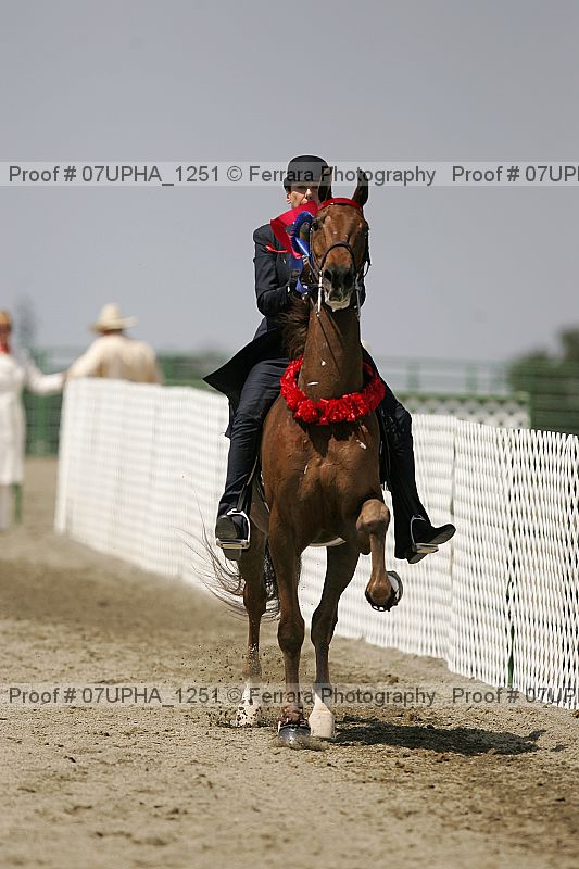 Proof 07upha_1251