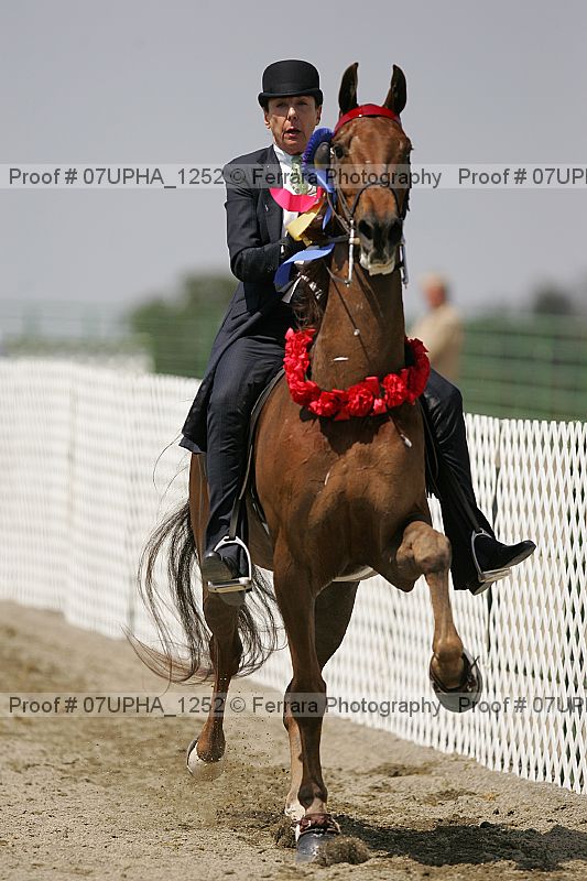 Proof 07upha_1252