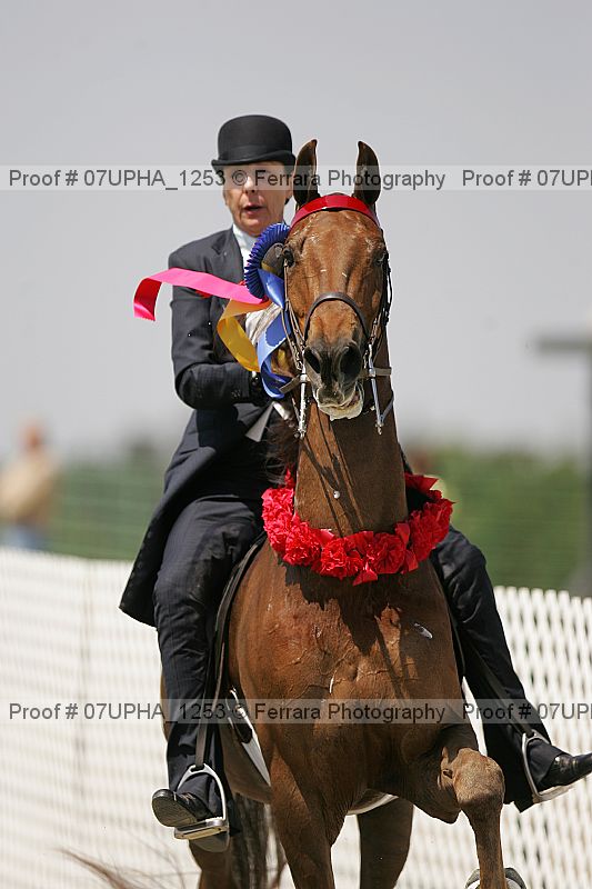 Proof 07upha_1253