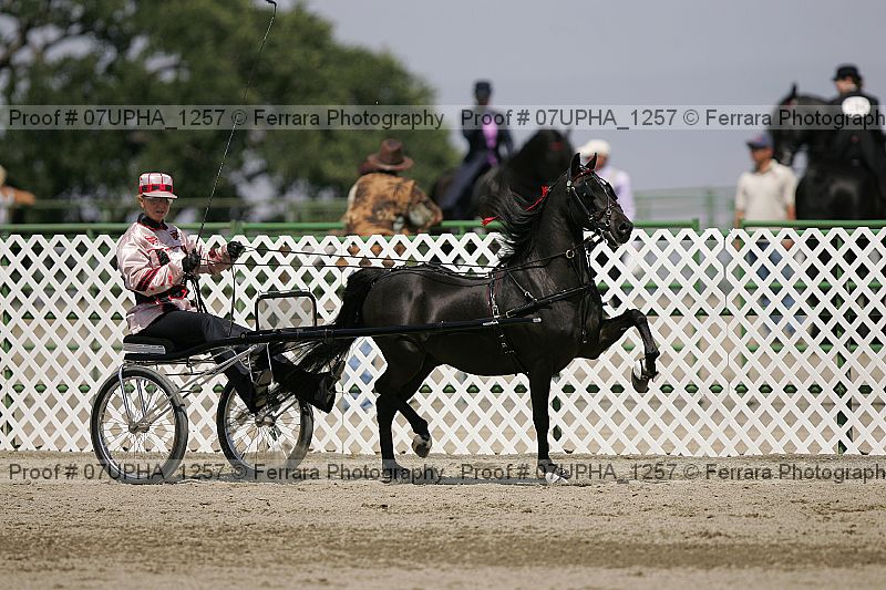 Proof 07upha_1257