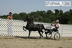 07upha_1266 proof