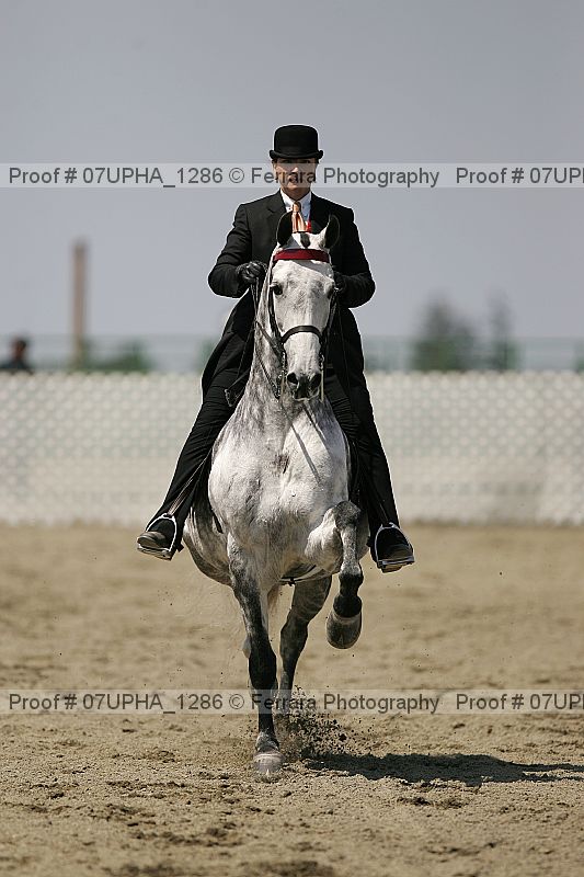 Proof 07upha_1286