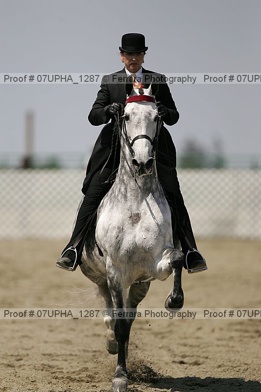 Proof 07upha_1287