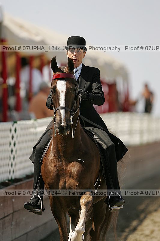 Proof 07upha_1344