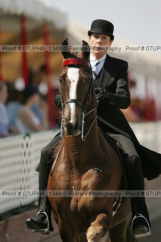 Proof 07upha_1349
