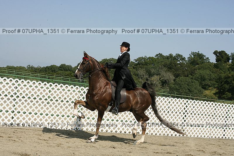 Proof 07upha_1351