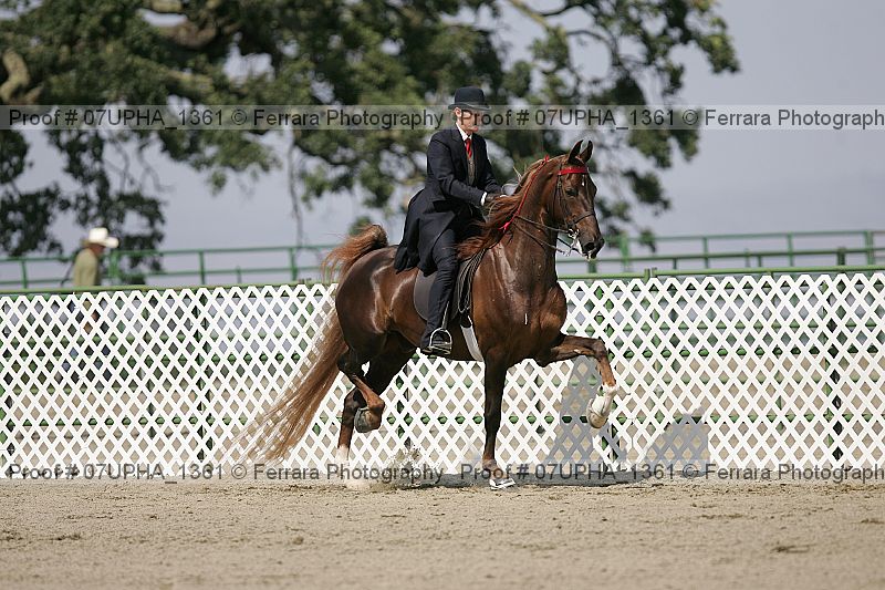 Proof 07upha_1361