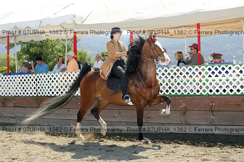 Proof 07upha_1362