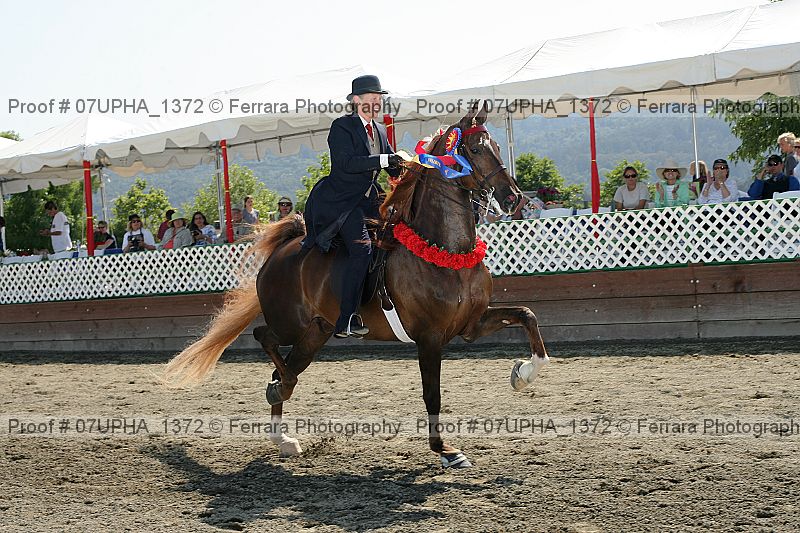 Proof 07upha_1372