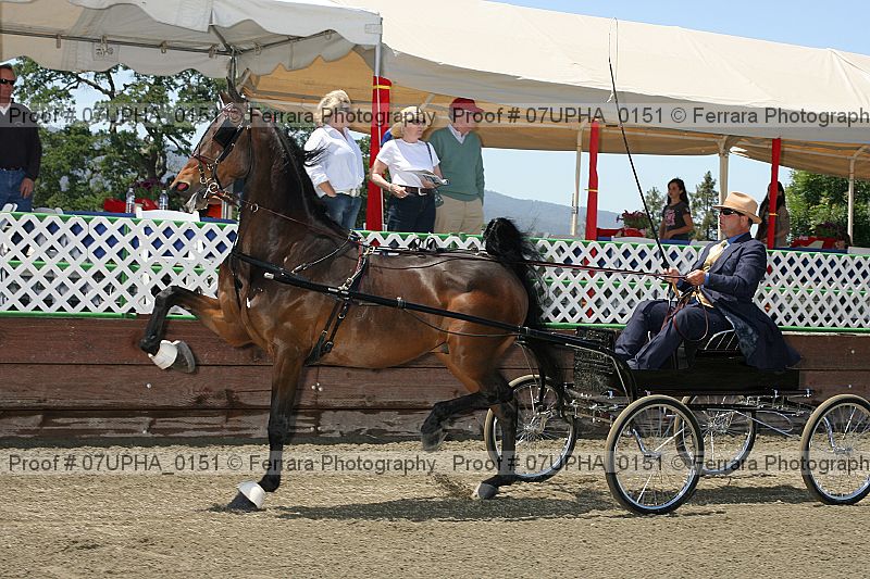 Proof 07upha_0151