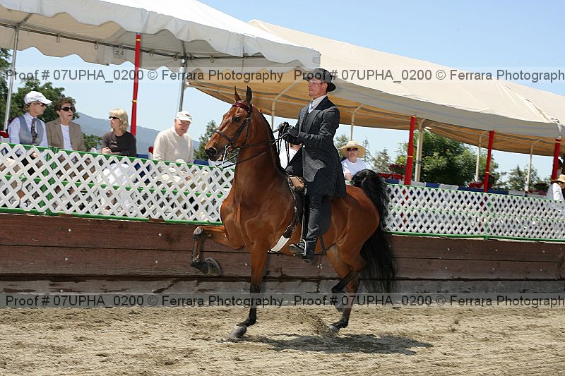 Proof 07upha_0200