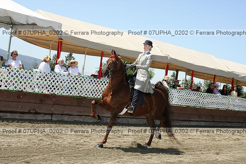 Proof 07upha_0202