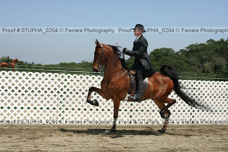 Proof 07upha_0204