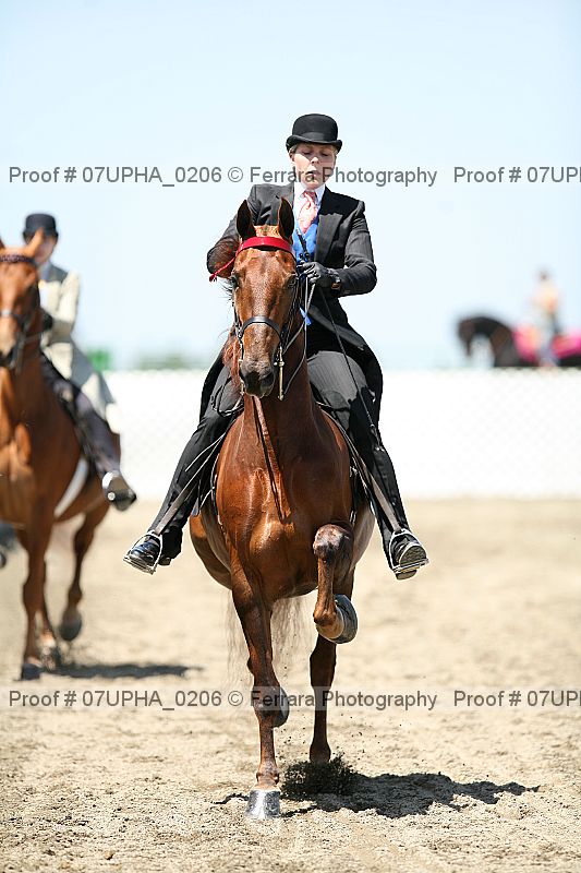 Proof 07upha_0206