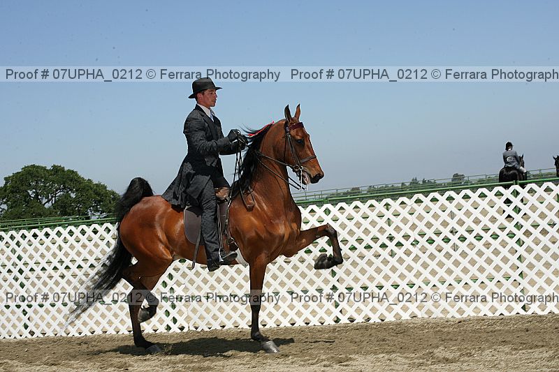 Proof 07upha_0212