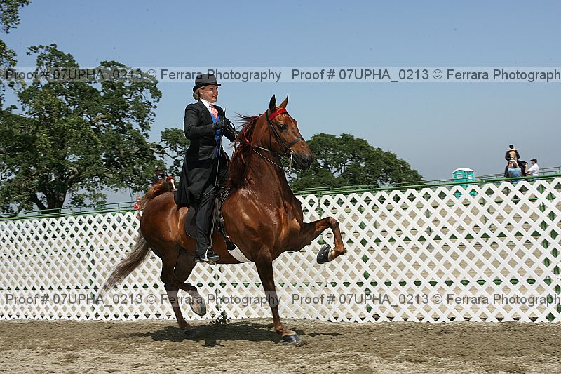 Proof 07upha_0213