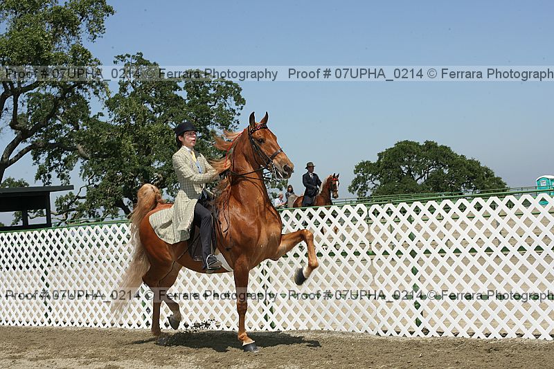 Proof 07upha_0214