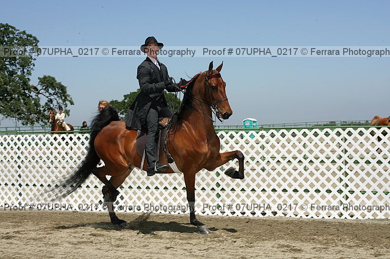 Proof 07upha_0217