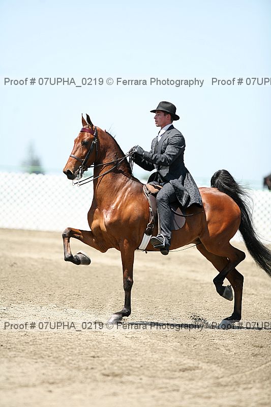 Proof 07upha_0219