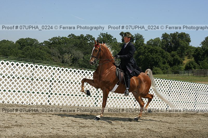 Proof 07upha_0224