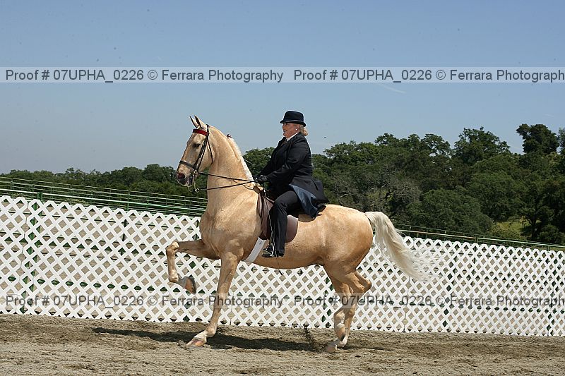 Proof 07upha_0226
