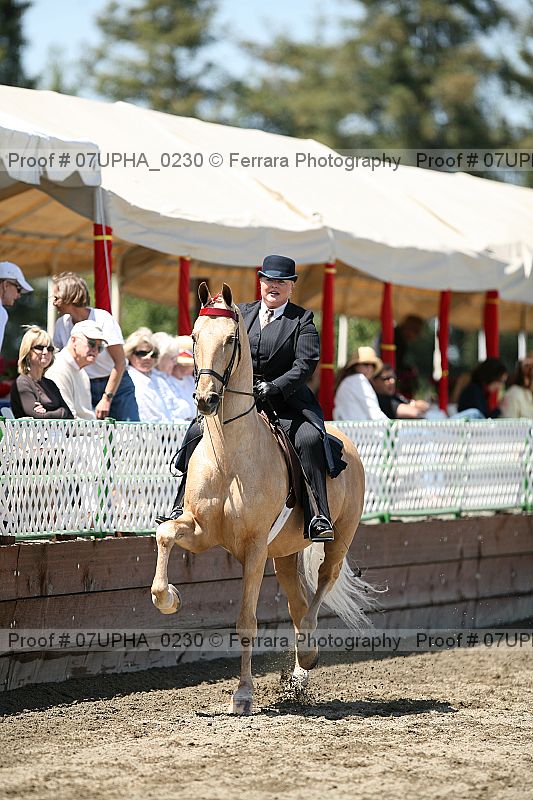 Proof 07upha_0230