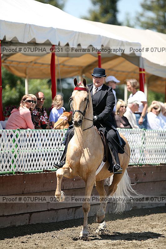 Proof 07upha_0231