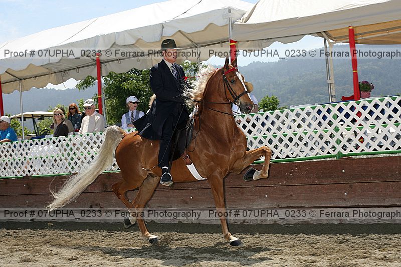 Proof 07upha_0233