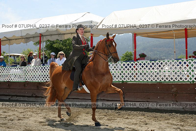 Proof 07upha_0237