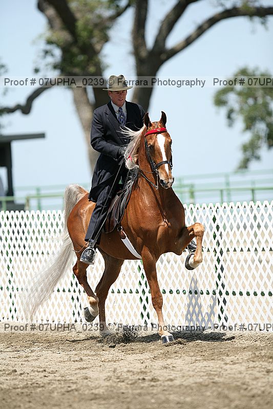 Proof 07upha_0239