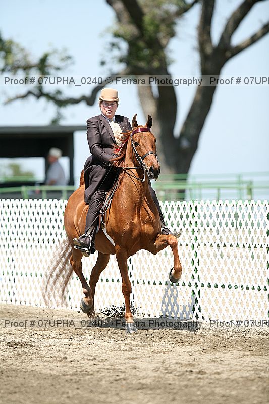 Proof 07upha_0240