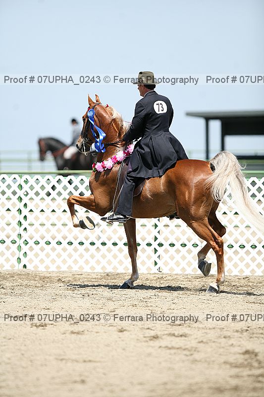 Proof 07upha_0243