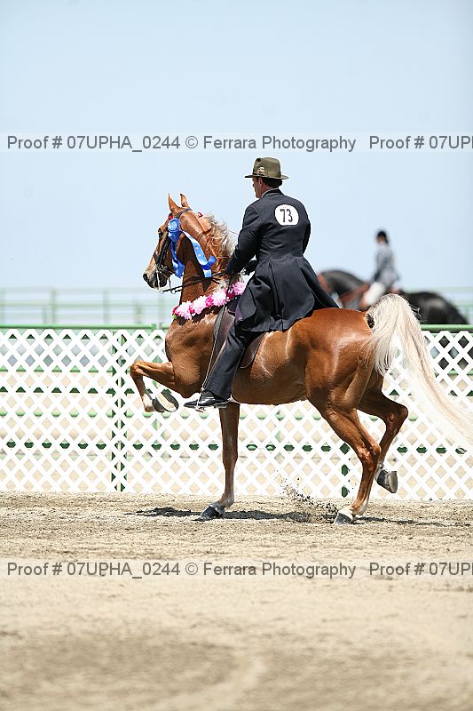 Proof 07upha_0244
